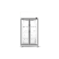 TCE1000N 2 Glass Door Display Fridge
